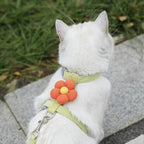 Adjustable Breathable Mesh Cat & Small Dog Harness + Leash Set Pet Harness Set Richie's