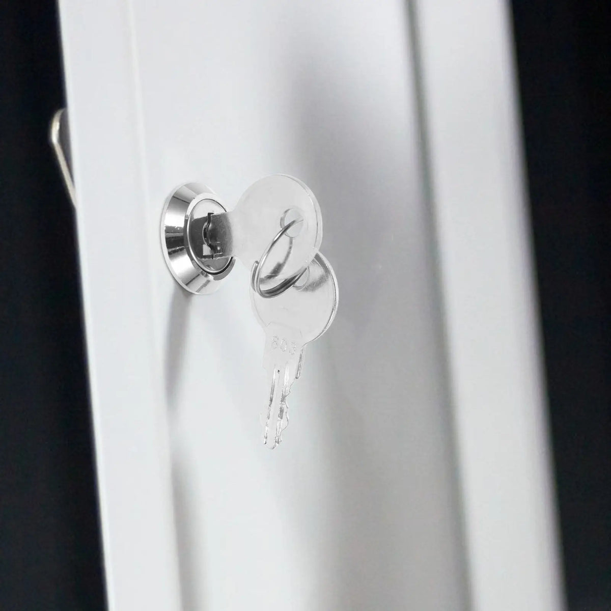 Cam Lock Cabinet & Drawer Lock with Keys – Zinc Alloy Cam Cabinet Lock Richie's China Mainland