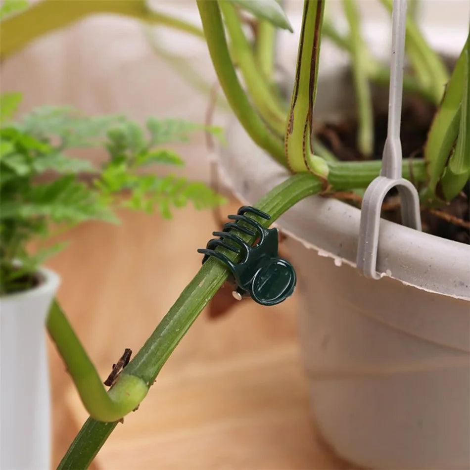 100pc Plant Support Clips for Orchids, Vines & Climbing Plants Plant Support Clips Richie's