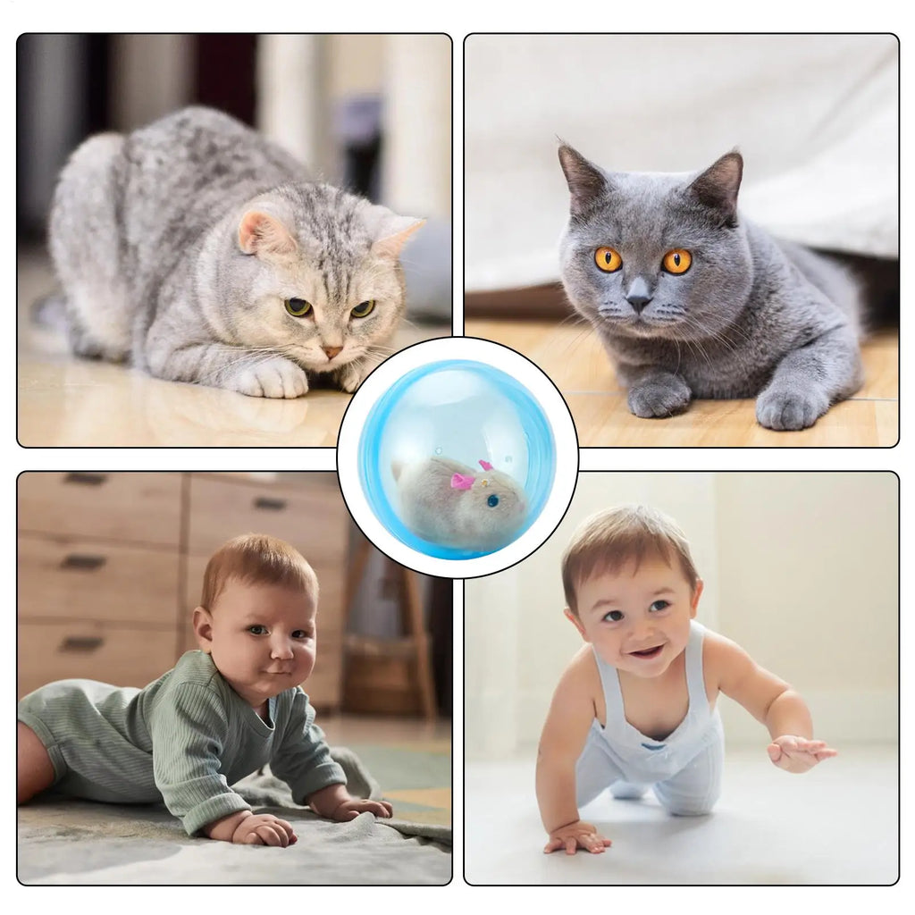 Electric Rolling Ball Interactive Toy for Cats & Dogs Interactive Pet Toy Richie's