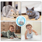 Electric Rolling Ball Interactive Toy for Cats & Dogs Interactive Pet Toy Richie's