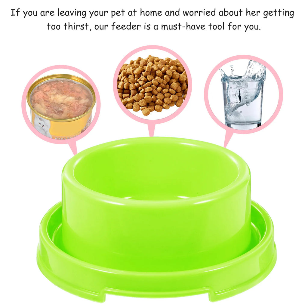 Anti-Ant Elevated Pet Food Bowl – Small Dogs & Cats Elevated Pet Bowl Richie's
