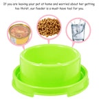 Anti-Ant Elevated Pet Food Bowl – Small Dogs & Cats Elevated Pet Bowl Richie's