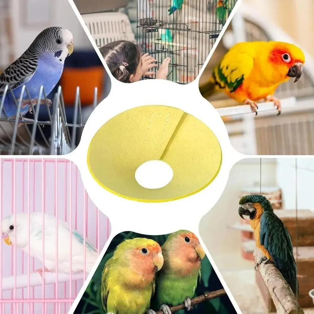 Bird Elizabethan Collar – Soft Breathable EVA Protective Cone Bird Protective Collar Richie's