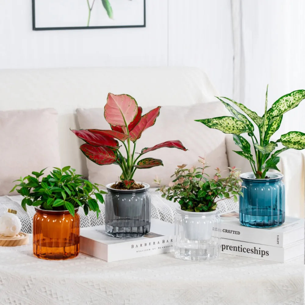 Self-Watering Hydroponic Planter – Mini Succulent Tabletop Pot Hydroponic Planter Richie's