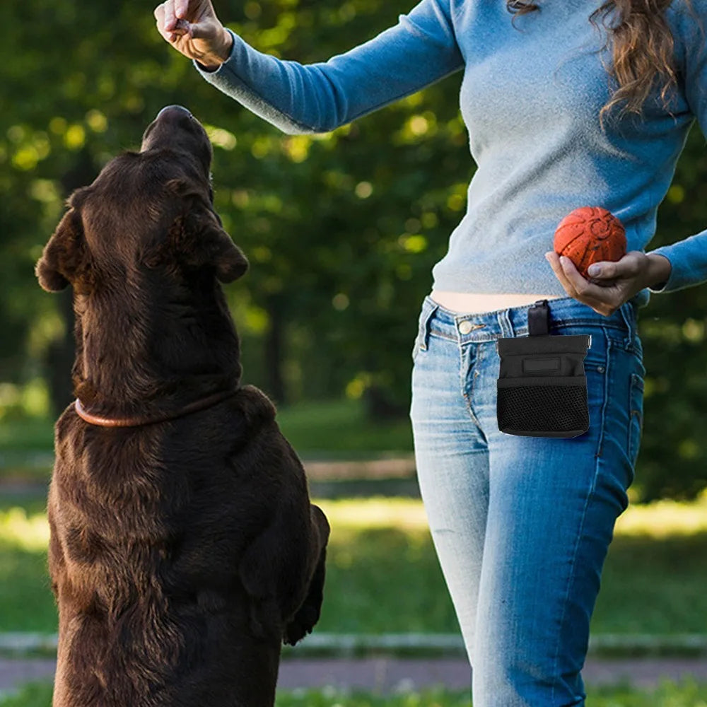 Oxford Cloth Dog Training Treat Pouch – Waist Bag with Clip Dog Treat Pouch Richie's