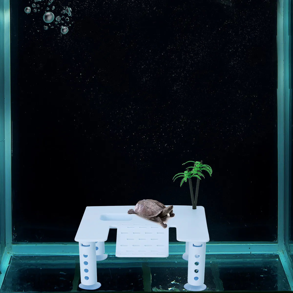 Square Turtle Basking Platform | Plastic Reptile Tank Stair Island Reptile Basking Platform Richie's