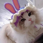 Handmade Funny Cat Hat – Pet Cosplay Party Photo Shoot Prop Pet Costume Hat Richie's