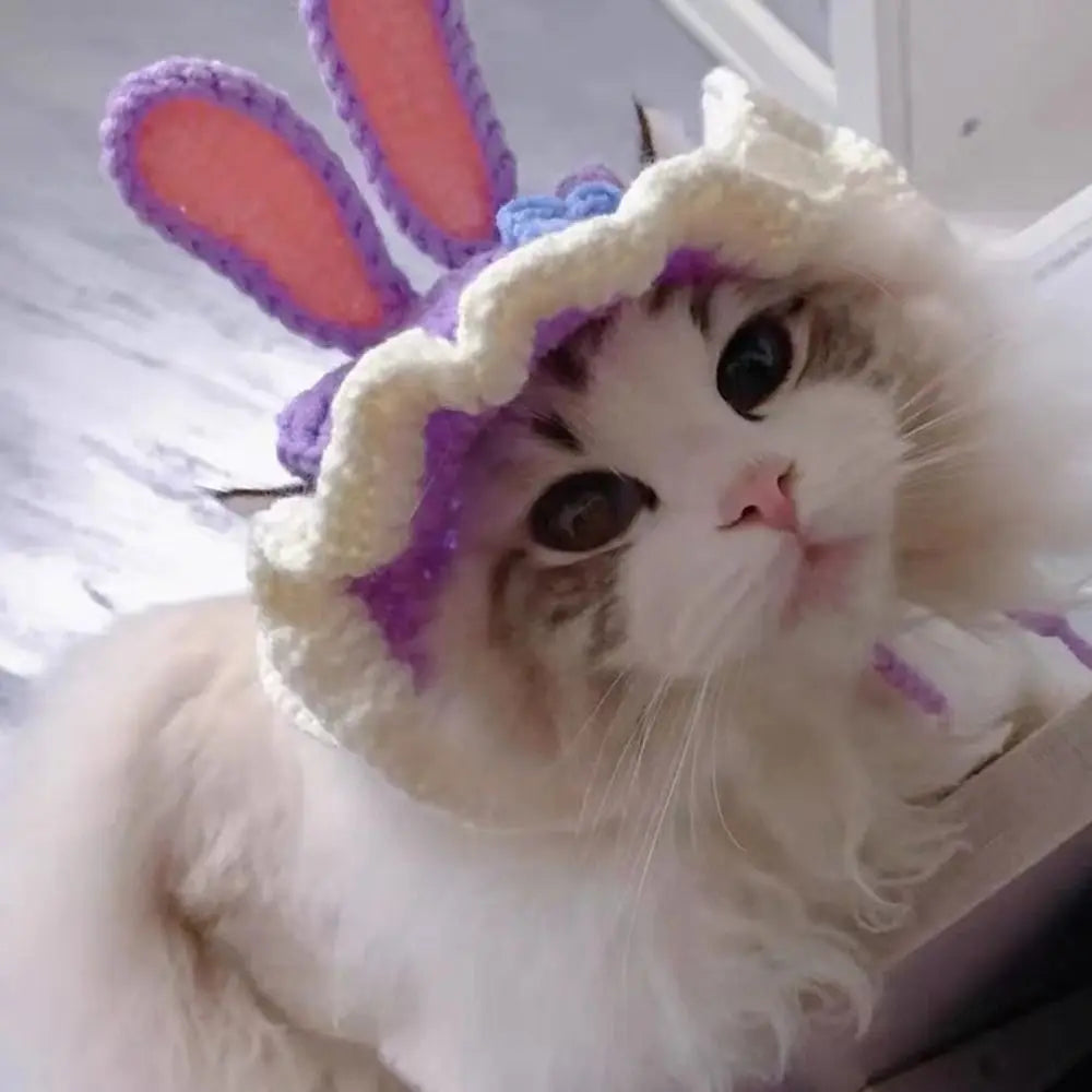 Handmade Funny Cat Hat – Pet Cosplay Party Photo Shoot Prop Pet Costume Hat Richie's