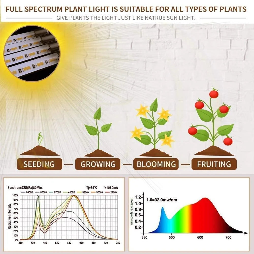 LED USB Grow Light Full Spectrum 3000K Dimmable Clip Phytolamp LED Grow Light Richie's