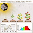 LED USB Grow Light Full Spectrum 3000K Dimmable Clip Phytolamp LED Grow Light Richie's