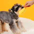 Shrimp Shape Dog & Cat Chew Toy – Fleece Interactive Toy Interactive Pet Toy Richie's