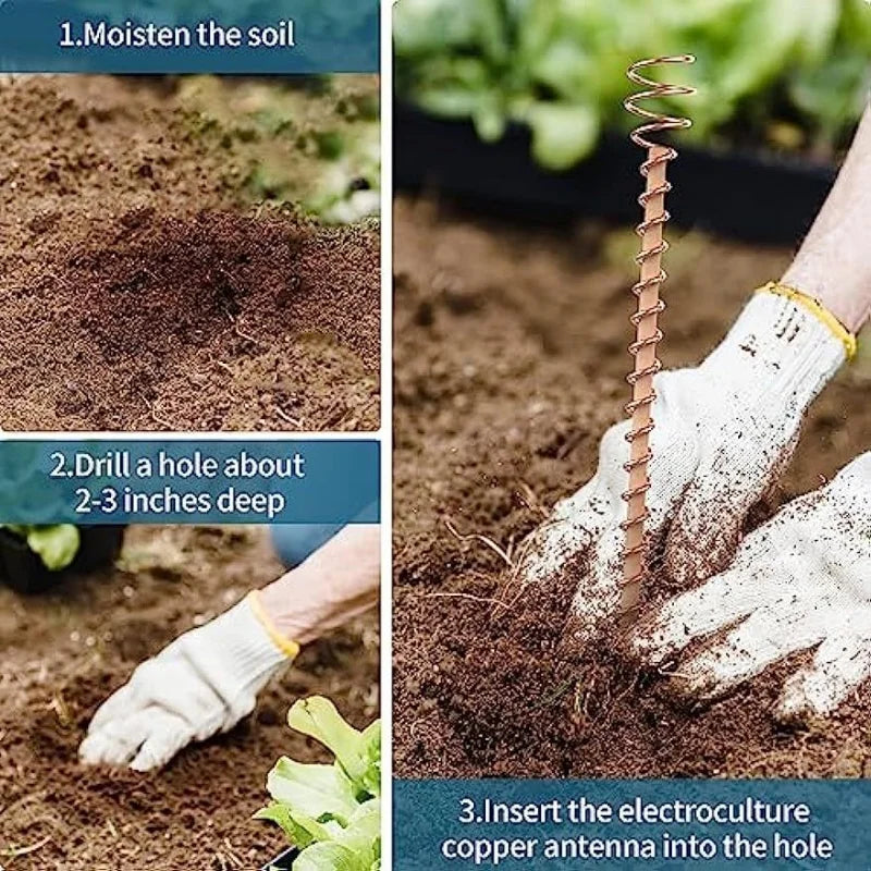 Electroculture Copper Garden Stakes – Plant Growth Antennas Garden Plant Stakes Richie's