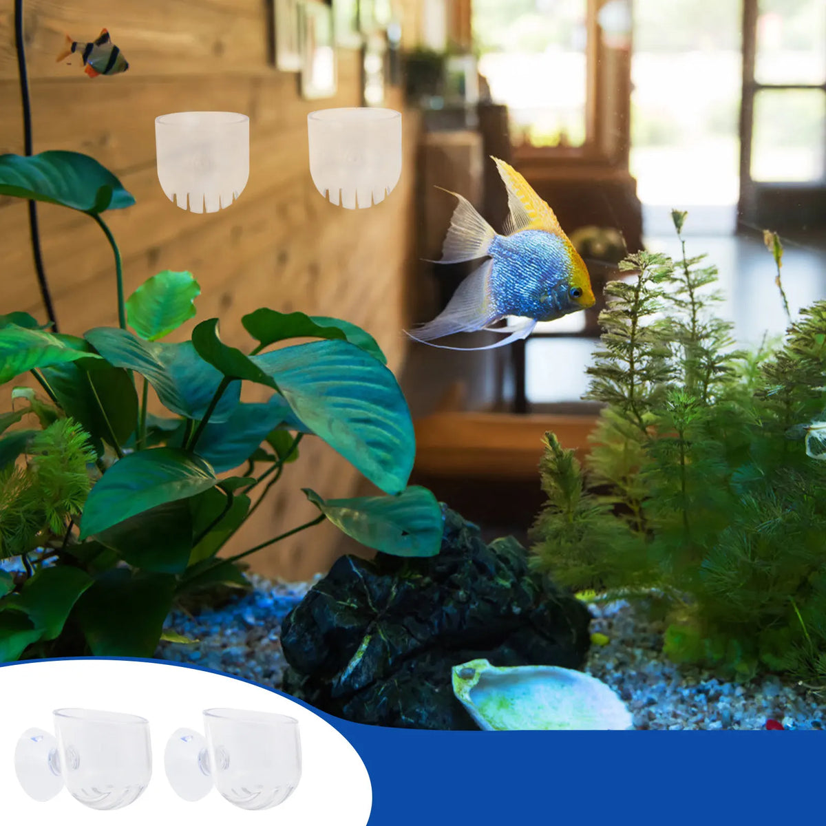2Pcs Clear Acrylic Aquarium Fish Feeder Cup – Shrimp Worm Feeder Aquarium Feeder Cup Richie's Default Title
