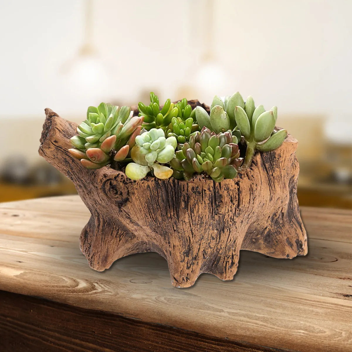 Vintage Cement Succulent Planter – Imitation Wood Bonsai Pot Cement Plant Pot Richie's Default Title