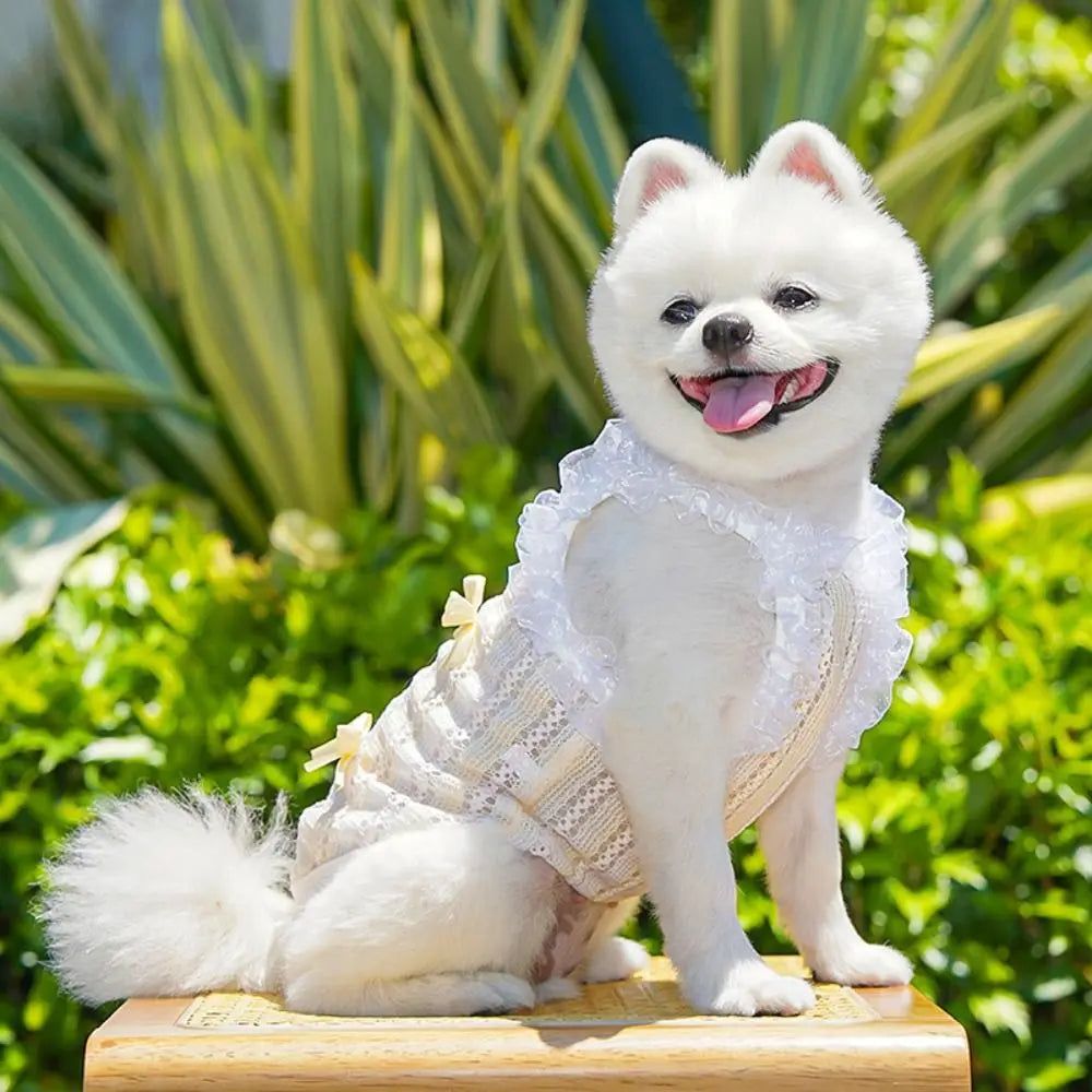 Cute Lace Bow Pet Princess Dress Vest for Cats & Dogs Pet Dress Vest Richie's