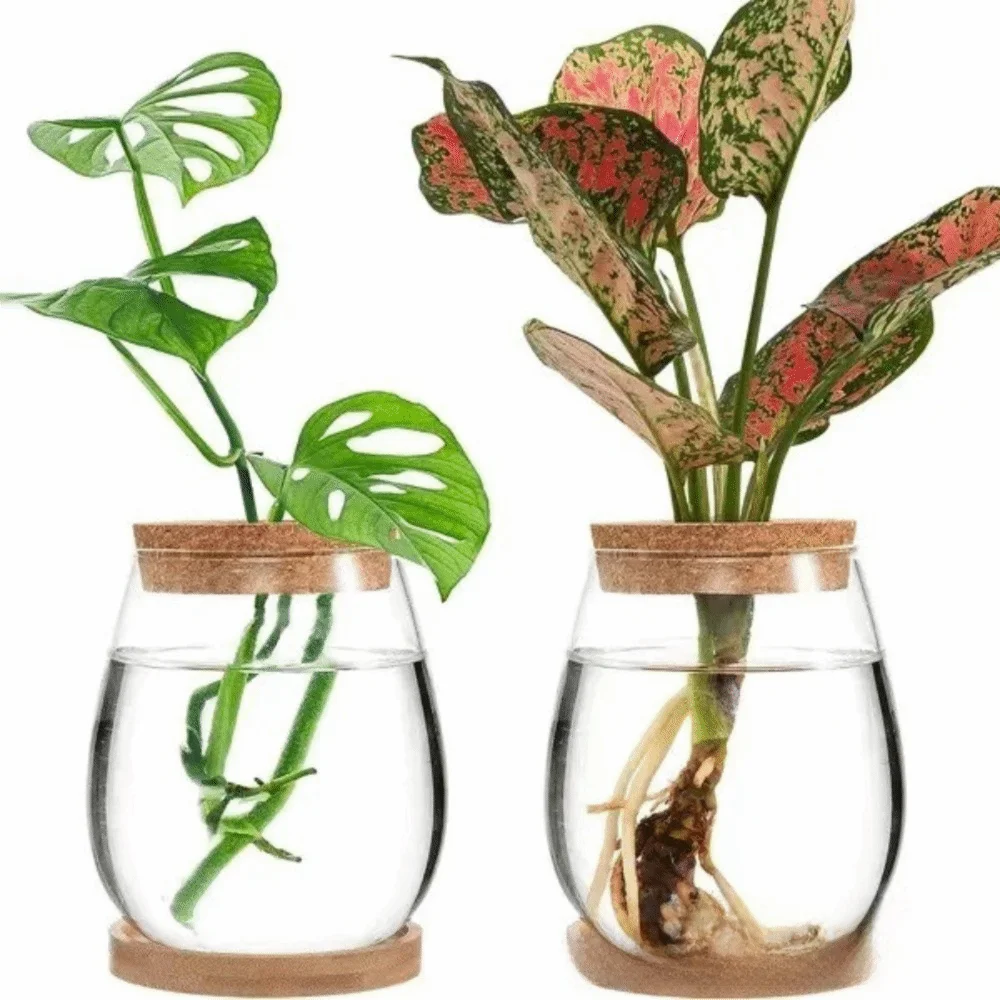 Glass Propagation Station Vase Rack with Wooden Base Glass Propagation Vase Richie's