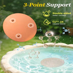 Pure Copper Bird Bath Disk – Triple-Point Stability Bird Bath Disk Richie's