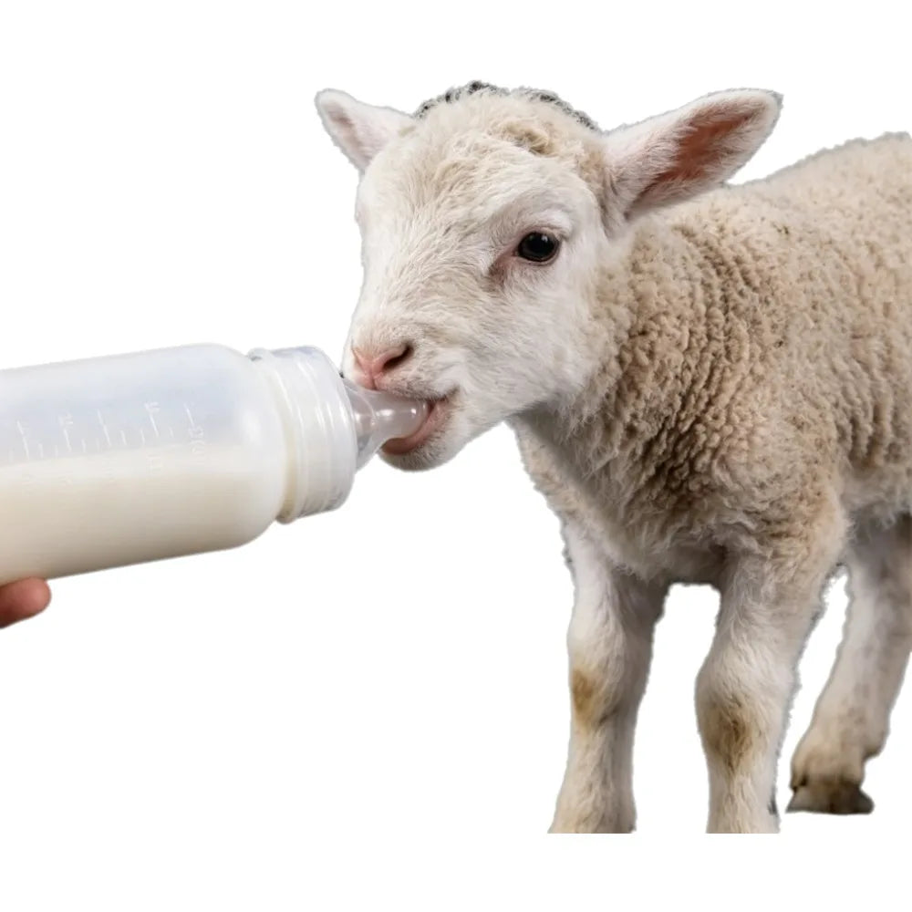 250ml Pet Nursing Feeding Bottle with Silicone Nipple for Pets Pet Nursing Bottle Richie's