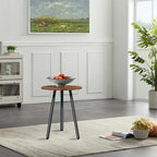 Metal Plant Stand Indoor Modern Circular Flower Rack Metal Plant Stand Richie's