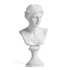 Greek Mythology Plaster Bust Statue | Resin Figurine Home Decor Bust Figurine Statue Richie's