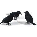 Realistic Feathered Crow Raven Halloween Decoration Ornament Halloween Decoration Richie's 3pcs one size fits all