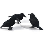 Realistic Feathered Crow Raven Halloween Decoration Ornament Halloween Decoration Richie's 3pcs one size fits all