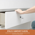 Cam Lock Cabinet & Drawer Lock with Keys – Zinc Alloy Cam Cabinet Lock Richie's