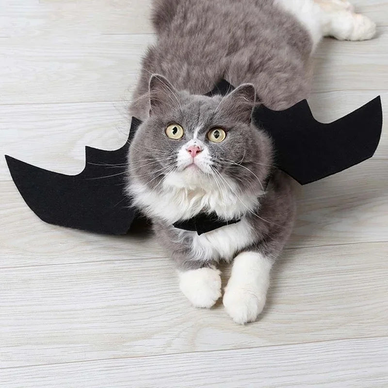 Halloween Bat Wings Harness Costume for Cats & Dogs Pet Costume Richie's
