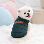 Windproof Padded Dog Winter Jacket for Small & Medium Dogs Dog Winter Jacket Richie's