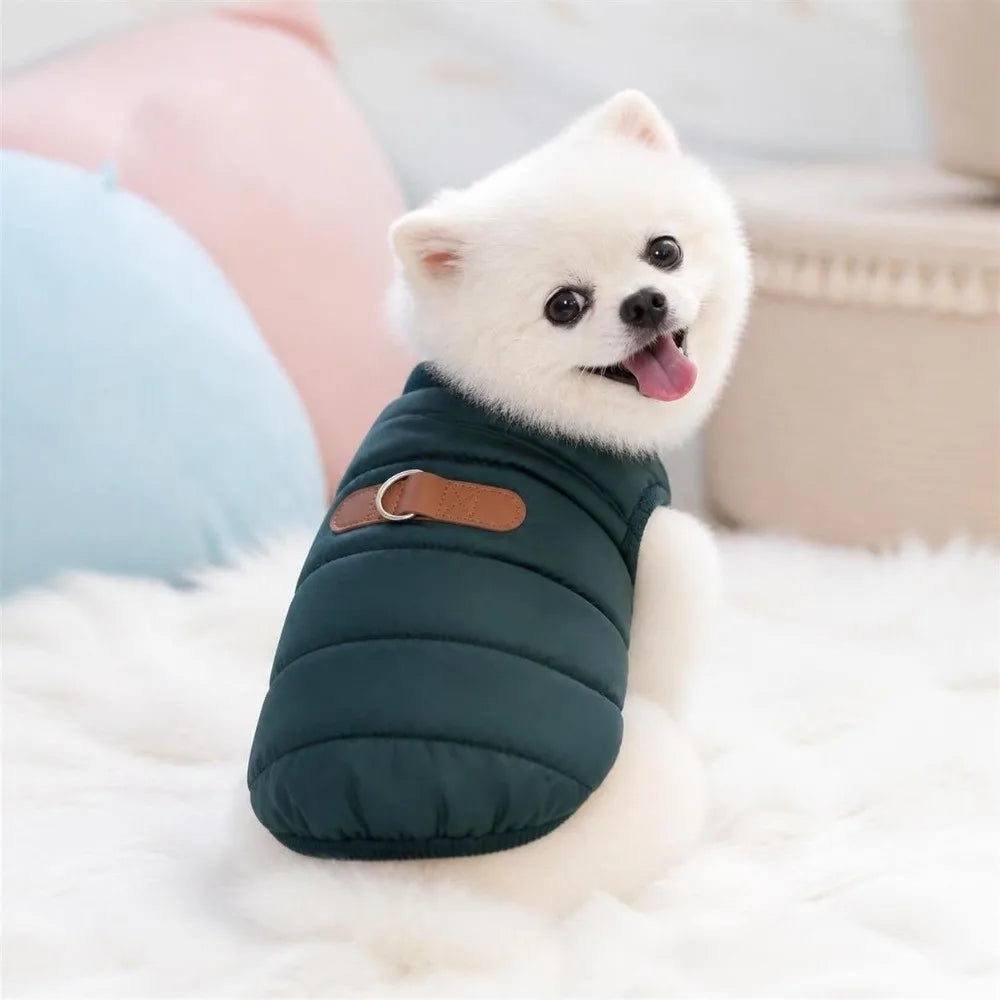 Windproof Padded Dog Winter Jacket for Small & Medium Dogs Dog Winter Jacket Richie's