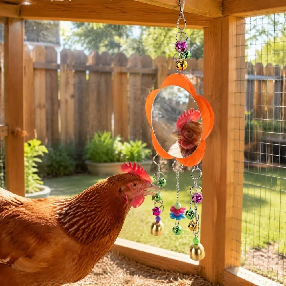 Bird Hanging Mirror Toy with Bells & Beads – Orange Bird Cage Toy Richie's