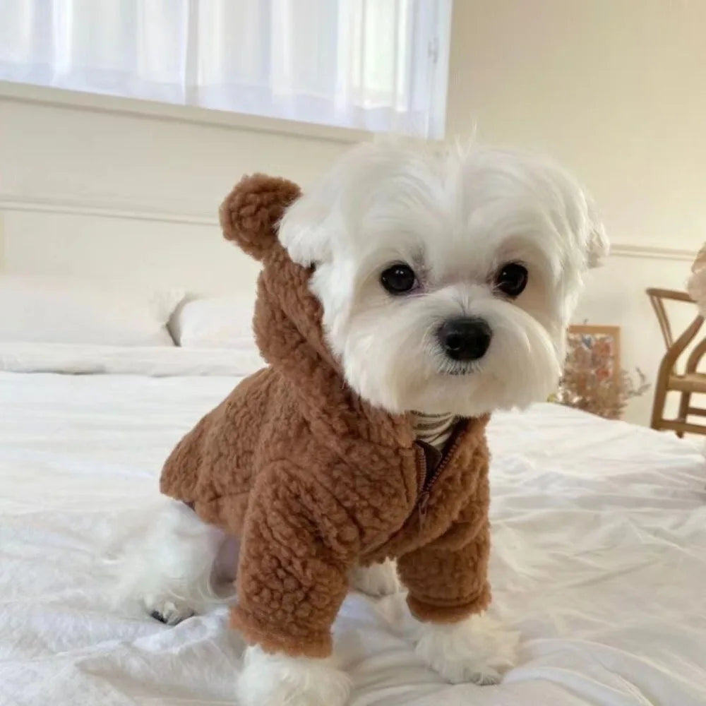 Cartoon Bear Plush Dog Hoodie with Hat – Warm Winter Pet Coat Pet Winter Hoodie Richie's