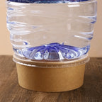 50pcs Kraft Paper Salad Bowls with Lids 500/750ml Disposable Disposable Food Bowls Richie's