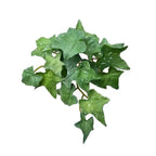 Faux Copper Coin Grass Artificial Plant EVA Bonsai Home Decor Artificial Plant Decor Richie's green-4