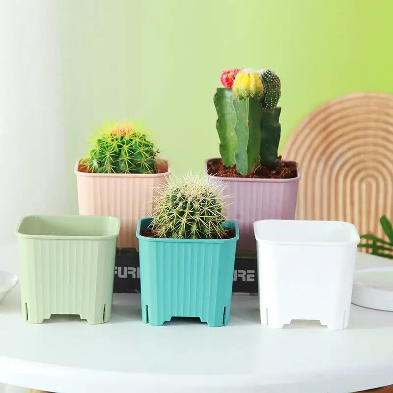 Square Plastic Plant Pots with Drainage – Multicolor Nursery Plant Nursery Pots Richie's