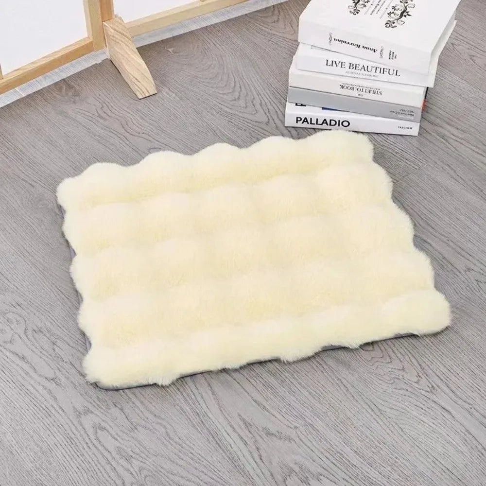Ultra-Soft Plush Pet Mat – Warm Thickened Cat & Dog Bed Pet Sleeping Mat Richie's Beige 30x40