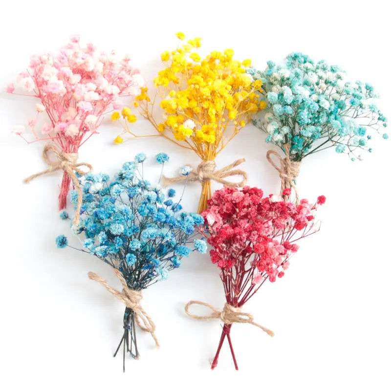 Mini Dried Flower Bouquet – Natural Baby's Breath Home Decor Dried Flower Bouquet Richie's