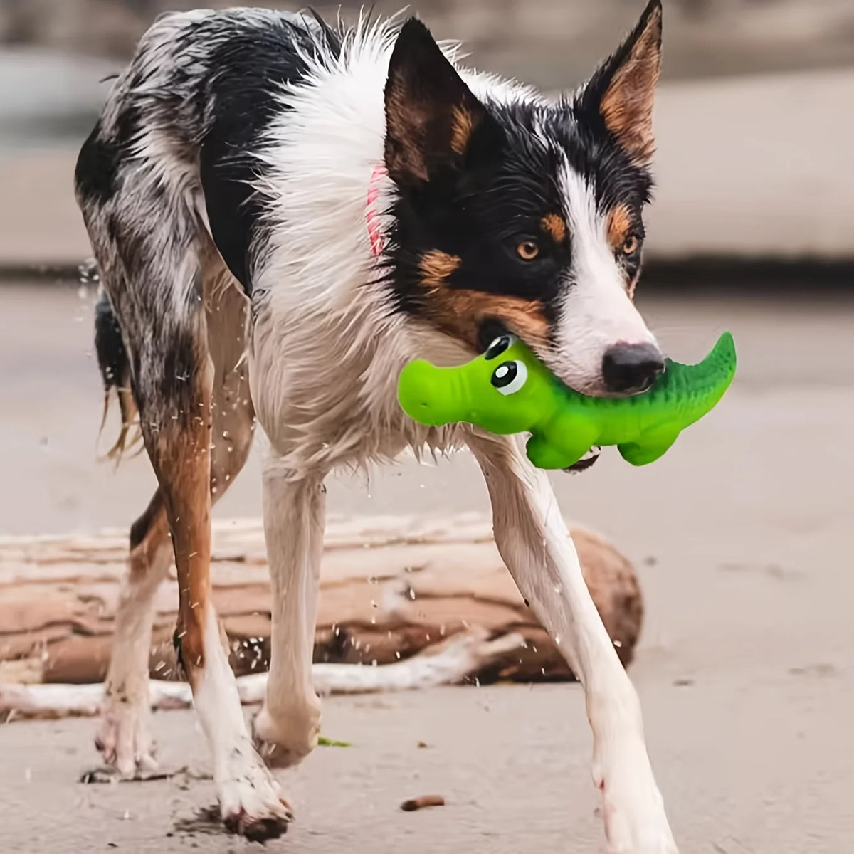 Crocodile Squeaky Dog Chew Toy – Durable Rubber Latex Dog Chew Toy Richie's