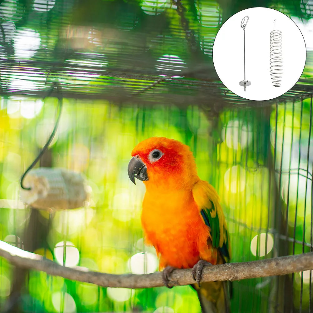 2Pcs Stainless Steel Parrot Fruit Fork Bird Cage Feeder Skewer Bird Cage Feeder Richie's