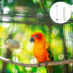 2Pcs Stainless Steel Parrot Fruit Fork Bird Cage Feeder Skewer Bird Cage Feeder Richie's