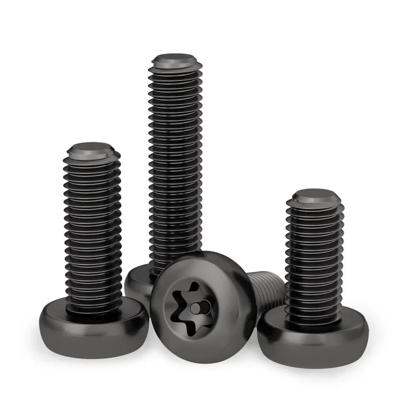 Black 304 SS Torx Pan Head Tamper-Proof Security Screws M3–M10 Security Screws Richie's