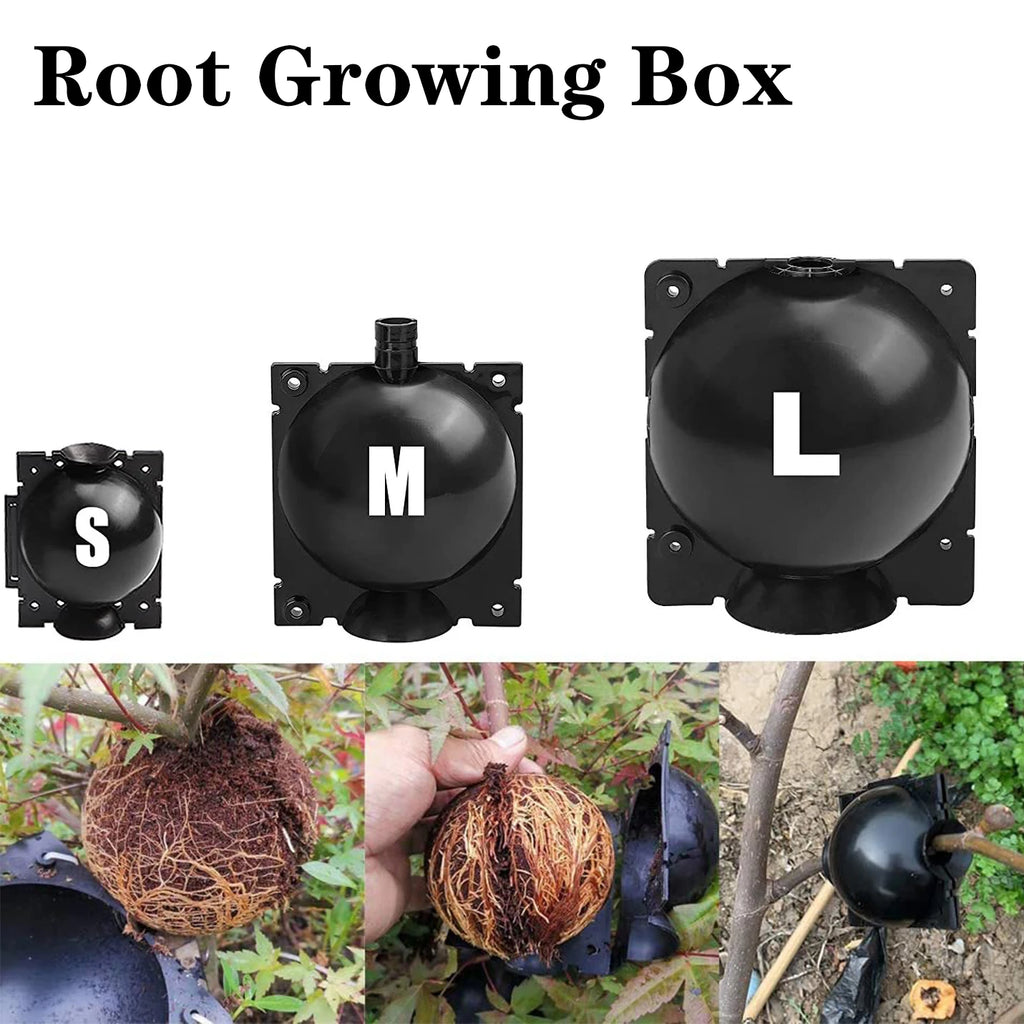 Plant Propagation Ball Box – Reusable Air Layering Kit Plant Propagation Kit Richie's