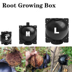 Plant Propagation Ball Box – Reusable Air Layering Kit Plant Propagation Kit Richie's