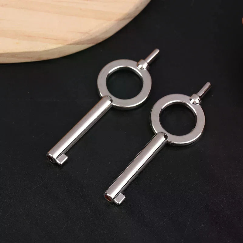 Zinc Alloy Handcuff Keys 2pcs – Universal Flat Key Blank Handcuff Keys Richie's