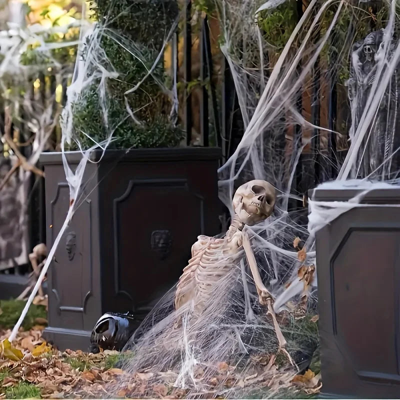 Stretchable Halloween Spider Web Decorations with 2 Spiders Halloween Decoration Richie's