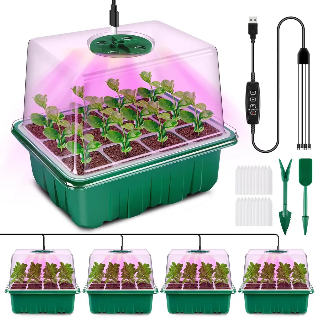 LED Seed Starter Tray with Grow Light & Timer | 4/5/6PC Kit Seed Starter Kit Richie's 4PCS Green