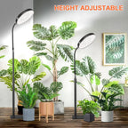 LED Grow Light 6000K Full Spectrum Floor Stand & Auto Timer LED Grow Light Richie's