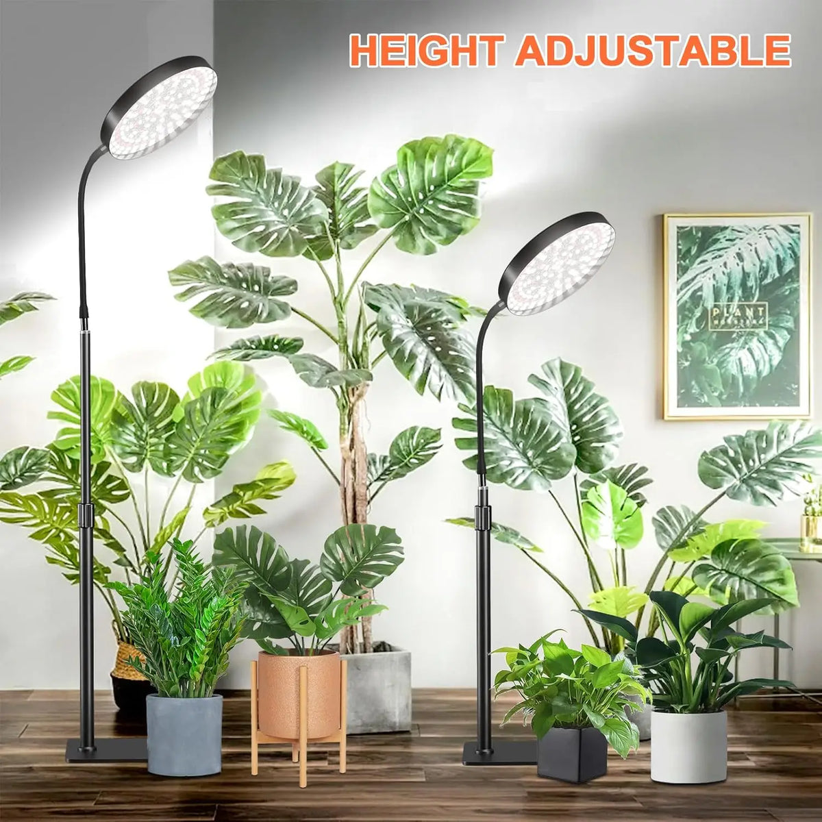 LED Grow Light 6000K Full Spectrum Floor Stand & Auto Timer LED Grow Light Richie's