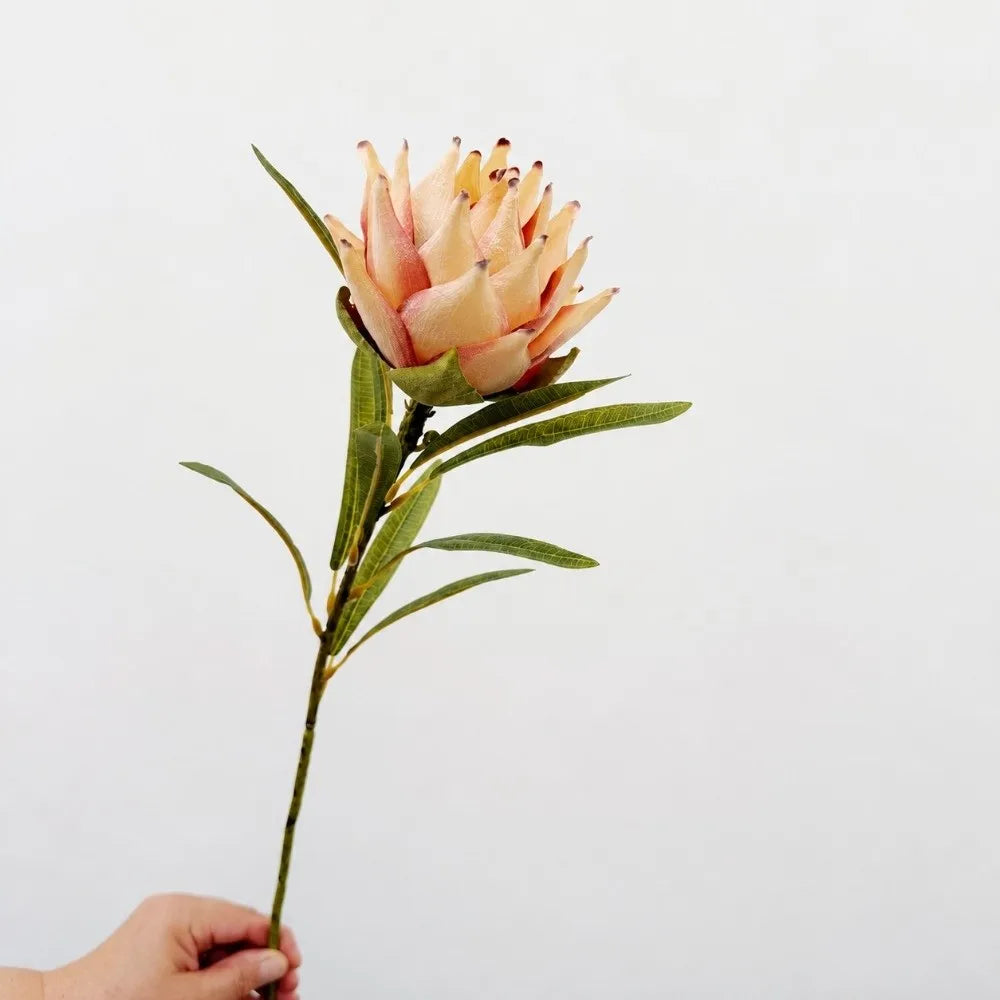 Flocked Artificial Emperor Protea Flower Large Silk Bloom 65cm Artificial Flower Richie's A-Beige